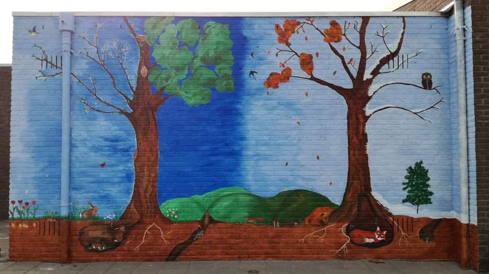wall wall
